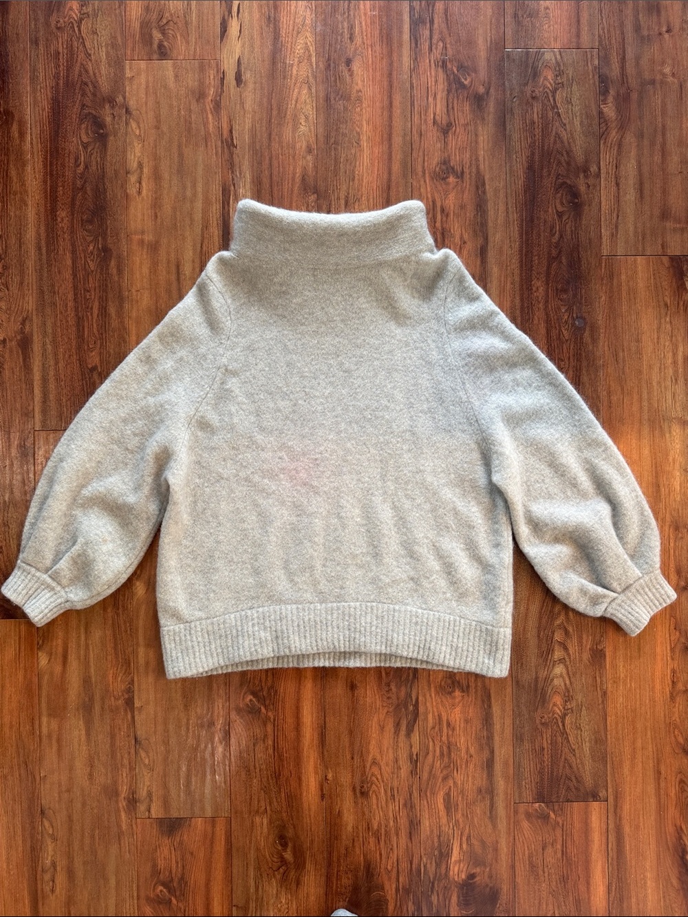 Aritzia Babaton turtleneck sweater
